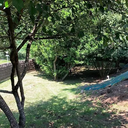Maison En Bois Avec Vue Sur Etang De Sandun